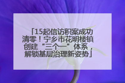 15起信访积案成功清零！宁乡市花明楼镇创建“三个一”体系，解锁基层治理新姿势