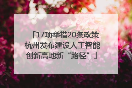 17项举措20条政策 杭州发布建设人工智能创新高地新“路径”