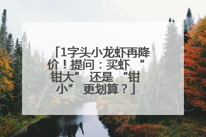 1字头小龙虾再降价！提问：买虾 “钳大” 还是 “钳小” 更划算？