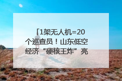 1架无人机=20个巡查员！山东低空经济“硬核王炸”亮相青岛，下一个万亿赛道藏在这里