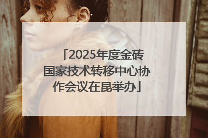 2025年度金砖国家技术转移中心协作会议在昆举办