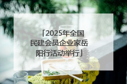 2025年全国民建会员企业家岳阳行活动举行