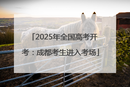 2025年全国高考开考：成都考生进入考场