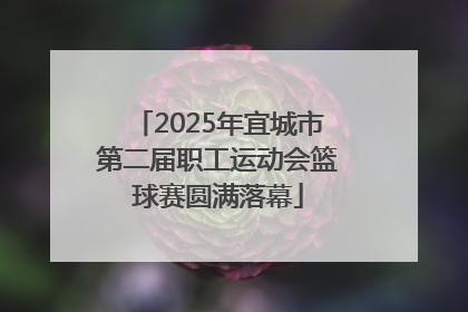 2025年宜城市第二届职工运动会篮球赛圆满落幕
