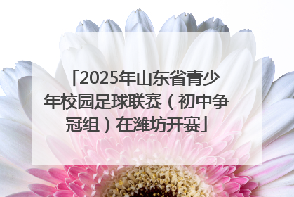 2025年山东省青少年校园足球联赛（初中争冠组）在潍坊开赛