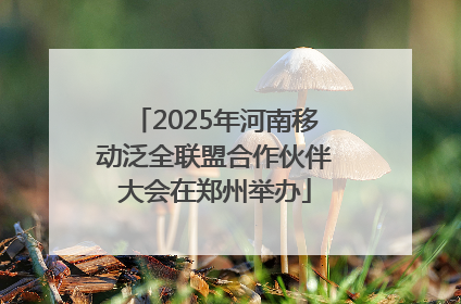 2025年河南移动泛全联盟合作伙伴大会在郑州举办