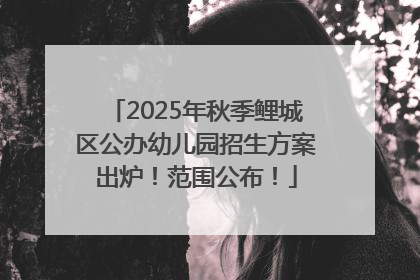 2025年秋季鲤城区公办幼儿园招生方案出炉！范围公布！