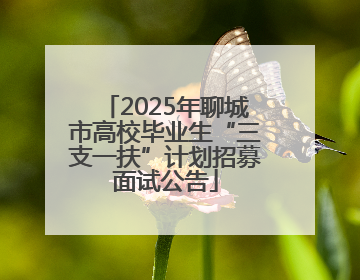 2025年聊城市高校毕业生“三支一扶”计划招募面试公告