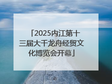 2025内江第十三届大千龙舟经贸文化博览会开幕