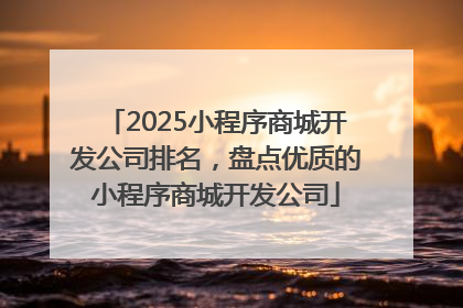 2025小程序商城开发公司排名，盘点优质的小程序商城开发公司