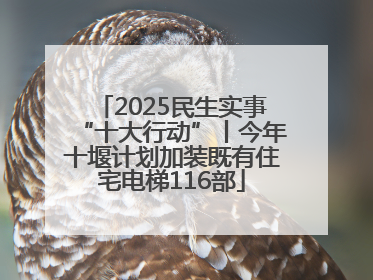 2025民生实事“十大行动”丨今年十堰计划加装既有住宅电梯116部