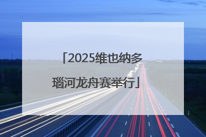 2025维也纳多瑙河龙舟赛举行