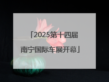 2025第十四届南宁国际车展开幕