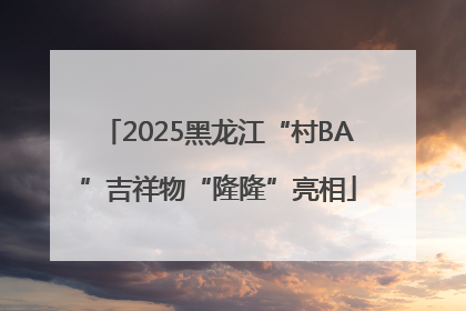 2025黑龙江“村BA”吉祥物“隆隆”亮相