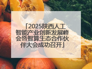 2025陕西人工智能产业创新发展峰会暨智算生态合作伙伴大会成功召开