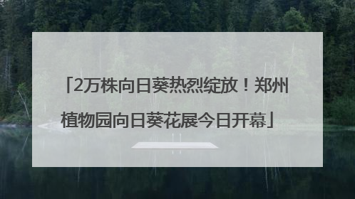 2万株向日葵热烈绽放！郑州植物园向日葵花展今日开幕