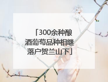 300余种酿酒葡萄品种相继落户贺兰山下