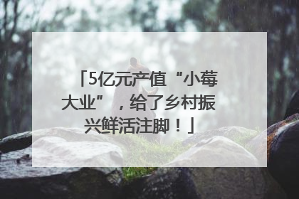 5亿元产值“小莓大业”，给了乡村振兴鲜活注脚！