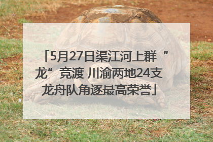 5月27日渠江河上群“龙”竞渡 川渝两地24支龙舟队角逐最高荣誉