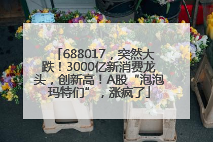 688017，突然大跌！3000亿新消费龙头，创新高！A股“泡泡玛特们”，涨疯了