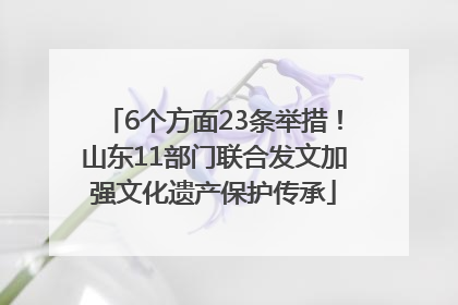 6个方面23条举措！山东11部门联合发文加强文化遗产保护传承
