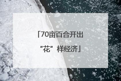 70亩百合开出“花”样经济