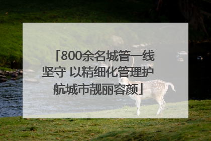 800余名城管一线坚守 以精细化管理护航城市靓丽容颜
