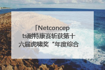 Netconcepts耐特康赛斩获第十六届虎啸奖“年度综合服务商”大奖